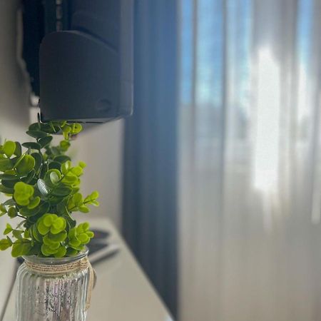 Apartman Ana, 扎达尔 外观 照片