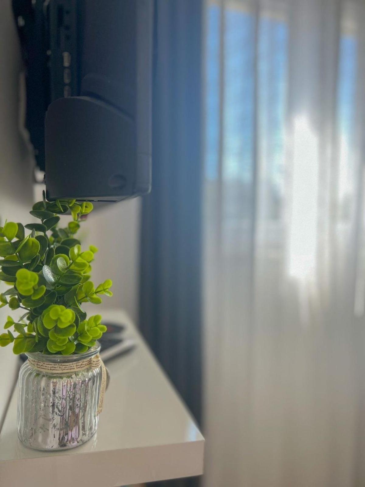 Apartman Ana, 扎达尔 外观 照片